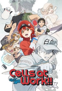 Cells at Work!